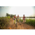 Team 315 / Raid Amazones Sri Lanka 2022 - J3 Bike Run