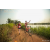 Team 41 / Raid Amazones Sri Lanka 2022 - J3 Bike Run