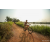 Team 313 / Raid Amazones Sri Lanka 2022 - J3 Bike Run