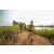 Team 73 / Raid Amazones Sri Lanka 2022 - J3 Bike Run