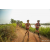 Team 11 / Raid Amazones Sri Lanka 2022 - J3 Bike Run