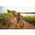 Team 35 / Raid Amazones Sri Lanka 2022 - J3 Bike Run