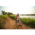 Team 56 / Raid Amazones Sri Lanka 2022 - J3 Bike Run
