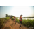 Team 43 / Raid Amazones Sri Lanka 2022 - J3 Bike Run