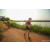 Team 04 / Raid Amazones Sri Lanka 2022 - J3 Bike Run