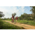 Team 67 / Raid Amazones Sri Lanka 2022 - J3 Bike Run