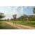 Team 71 / Raid Amazones Sri Lanka 2022 - J3 Bike Run