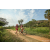 Team 49 / Raid Amazones Sri Lanka 2022 - J3 Bike Run