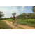 Team 48 / Raid Amazones Sri Lanka 2022 - J3 Bike Run