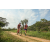 Team 30 / Raid Amazones Sri Lanka 2022 - J3 Bike Run