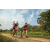 Team 78 / Raid Amazones Sri Lanka 2022 - J3 Bike Run