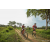 Team 96 / Raid Amazones Sri Lanka 2022 - J3 Bike Run