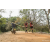 Team 10 / Raid Amazones Sri Lanka 2022 - J3 Bike Run
