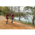 Team 71 / Raid Amazones Sri Lanka 2022 - J3 Bike Run