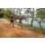Team 16 / Raid Amazones Sri Lanka 2022 - J3 Bike Run