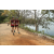 Team 49 / Raid Amazones Sri Lanka 2022 - J3 Bike Run