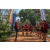 Team 328 / Raid Amazones Sri Lanka 2022 - J3 Bike Run