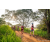 Team 14 / Raid Amazones Sri Lanka 2022 - J3 Bike Run