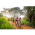 Team 14 / Raid Amazones Sri Lanka 2022 - J3 Bike Run