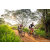 Team 320 / Raid Amazones Sri Lanka 2022 - J3 Bike Run