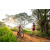 Team 41 / Raid Amazones Sri Lanka 2022 - J3 Bike Run