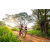 Team 55 / Raid Amazones Sri Lanka 2022 - J3 Bike Run