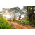 Team 332 / Raid Amazones Sri Lanka 2022 - J3 Bike Run