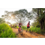 Team 19 / Raid Amazones Sri Lanka 2022 - J3 Bike Run
