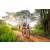 Team 74 / Raid Amazones Sri Lanka 2022 - J3 Bike Run