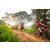 Team 13 / Raid Amazones Sri Lanka 2022 - J3 Bike Run