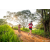 Team 17 / Raid Amazones Sri Lanka 2022 - J3 Bike Run