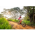 Team 56 / Raid Amazones Sri Lanka 2022 - J3 Bike Run