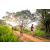 Team 32 / Raid Amazones Sri Lanka 2022 - J3 Bike Run