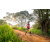 Team 44 / Raid Amazones Sri Lanka 2022 - J3 Bike Run