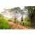 Team 16 / Raid Amazones Sri Lanka 2022 - J3 Bike Run