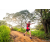 Team 73 / Raid Amazones Sri Lanka 2022 - J3 Bike Run