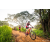 Team 73 / Raid Amazones Sri Lanka 2022 - J3 Bike Run