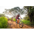 Team 76 / Raid Amazones Sri Lanka 2022 - J3 Bike Run