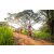 Team 75 / Raid Amazones Sri Lanka 2022 - J3 Bike Run