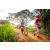 Team 76 / Raid Amazones Sri Lanka 2022 - J3 Bike Run