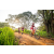 Team 48 / Raid Amazones Sri Lanka 2022 - J3 Bike Run