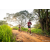 Team 33 / Raid Amazones Sri Lanka 2022 - J3 Bike Run
