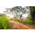 Team 37 / Raid Amazones Sri Lanka 2022 - J3 Bike Run