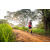 Team 37 / Raid Amazones Sri Lanka 2022 - J3 Bike Run