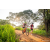 Team 97 / Raid Amazones Sri Lanka 2022 - J3 Bike Run