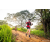 Team 21 / Raid Amazones Sri Lanka 2022 - J3 Bike Run