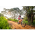 Team 38 / Raid Amazones Sri Lanka 2022 - J3 Bike Run
