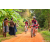 Team 331 / Raid Amazones Sri Lanka 2022 - J3 Bike Run