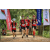 Team 69 / Raid Amazones Sri Lanka 2022 - J3 Bike Run