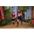 Team 08 / Raid Amazones Sri Lanka 2022 - J3 Bike Run